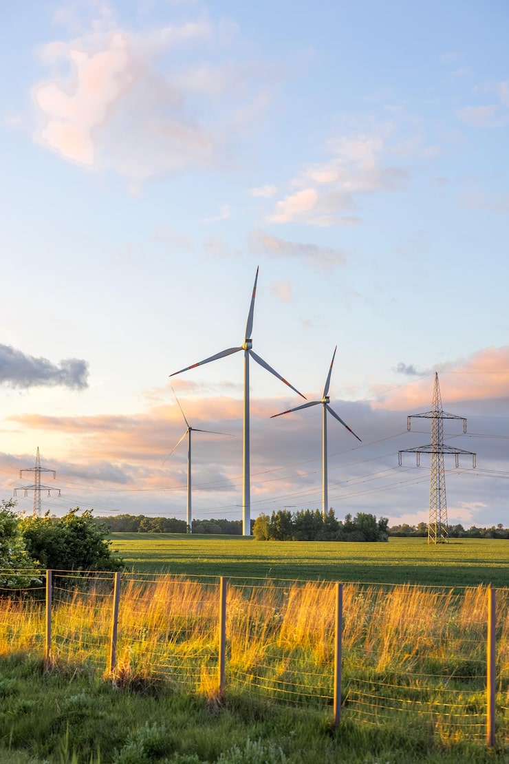 15 Natural Foods to Boost Energy and Improve Mood