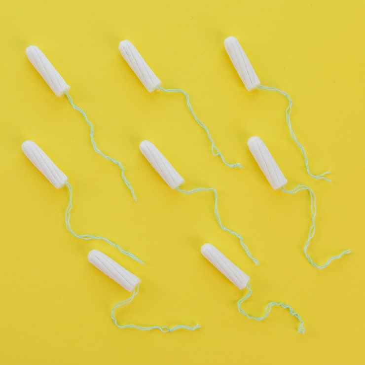 Probiotics and Mental Health: Exploring the Gut–Brain Axis